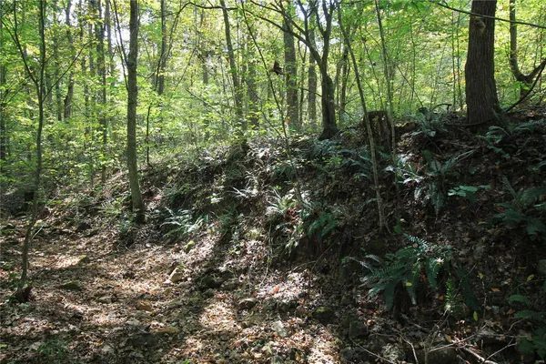 $307,828 | 0 Madison Cr, Fredericktown, MO 63645