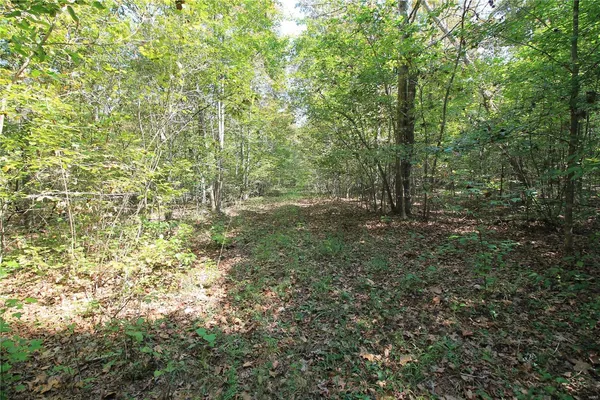 $307,828 | 0 Madison Cr, Fredericktown, MO 63645