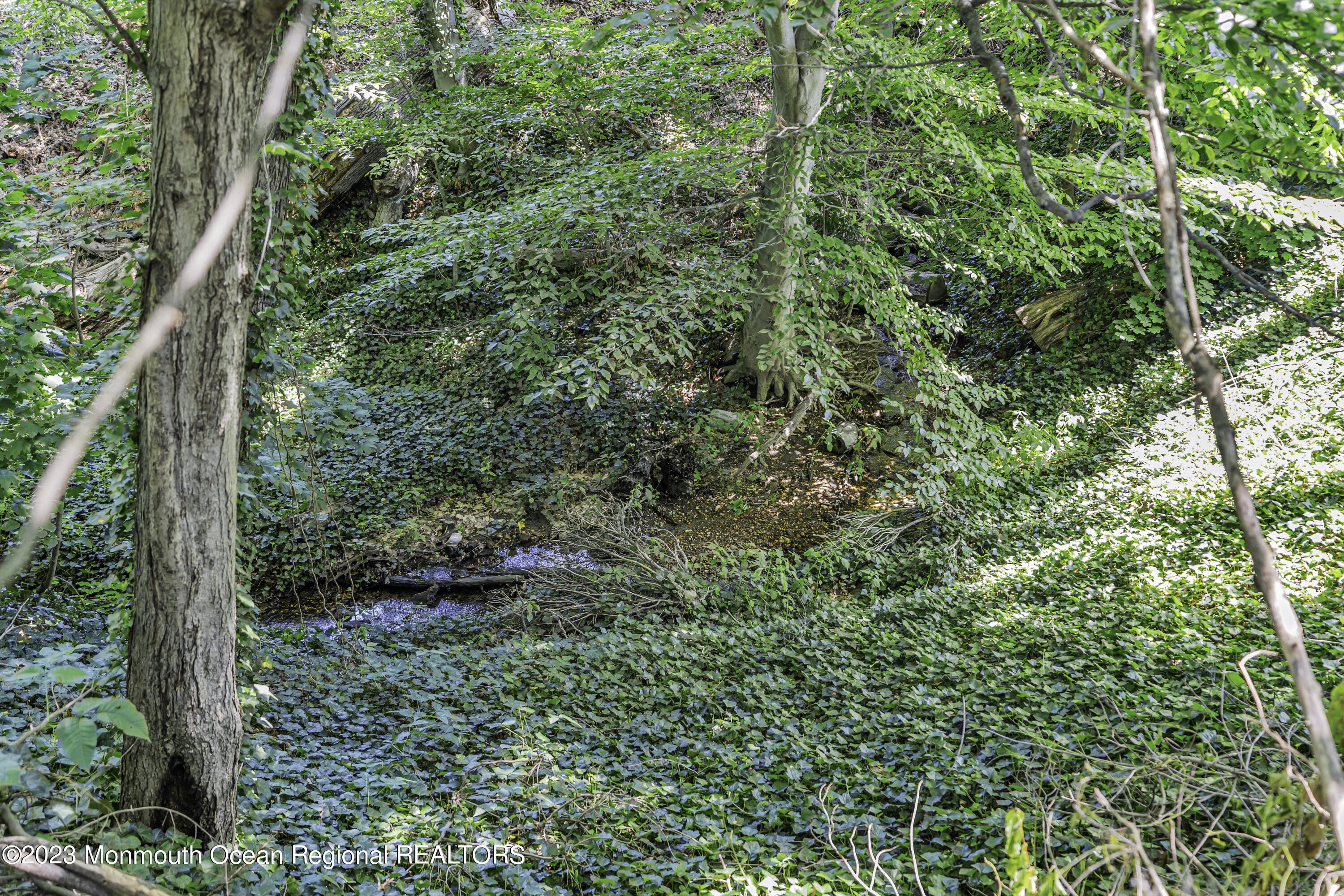 44 Danemar Drive Matawan, NJ 07747 - Photo 31 of 31 a view of a lush green forest