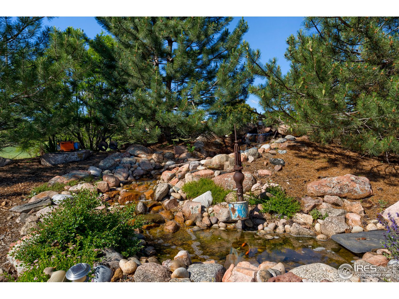 120 Carpenter Road Fort Collins, CO 80525 - Photo 29 of 40 Water Feature & Fish Pond