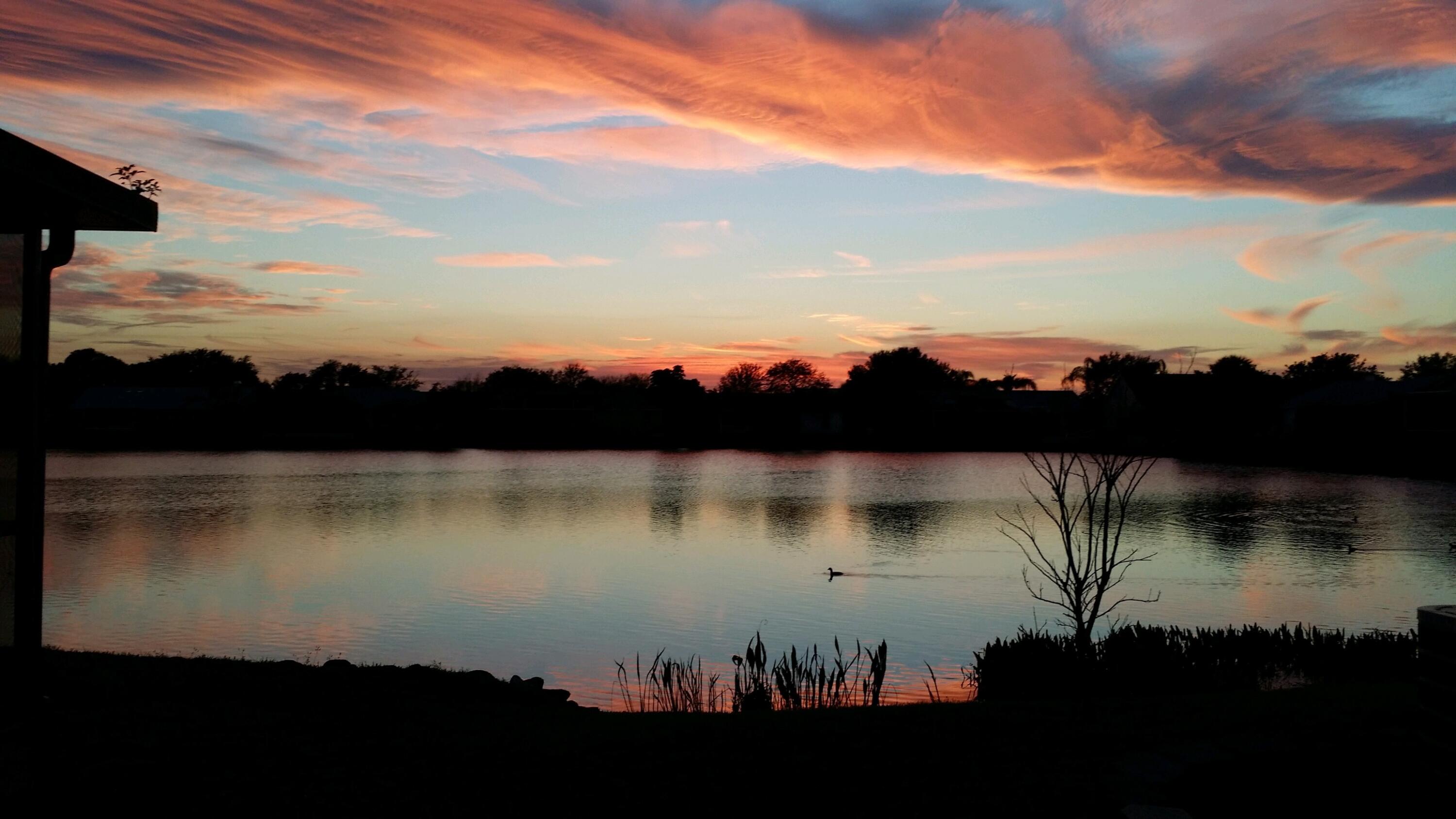 920 Turtle Pond Way Melbourne, FL 32940 - Photo 51 of 53 a view of lake