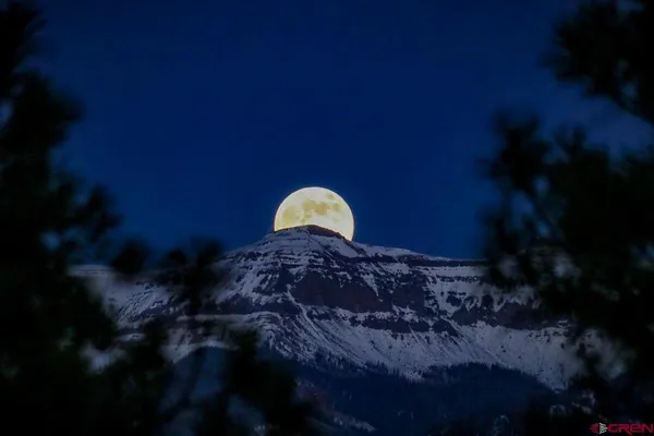 $1,699,900 | 24001 Hwy 84 Chromo Co 81128, Chromo, CO 81128