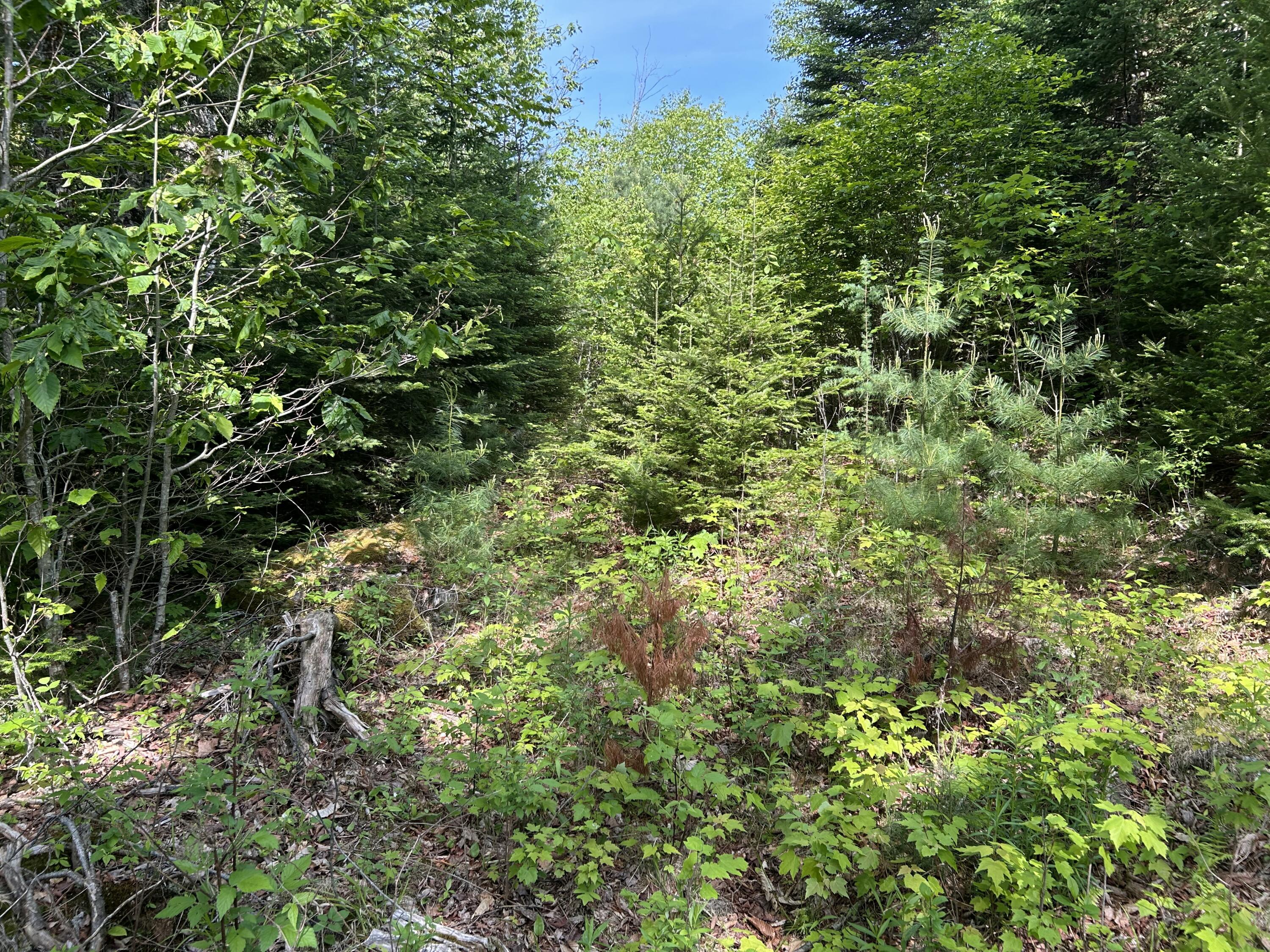 M5-l13 Clark Road Prospect, ME 04981 - Photo 11 of 33 IMG_8812