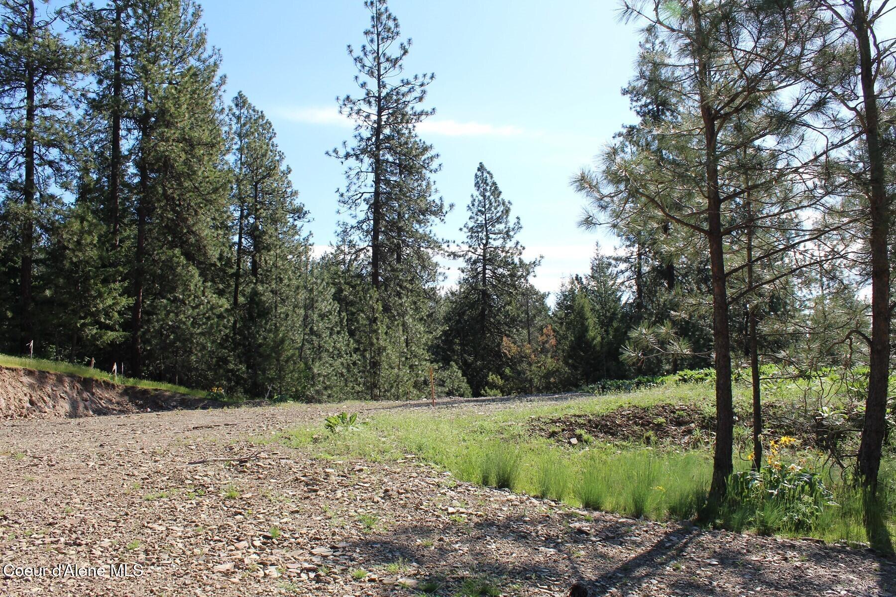 881 South Allen Road Coeur D'Alene, ID 83814 - Photo 10 of 26 Allen Driveway to Pad Site