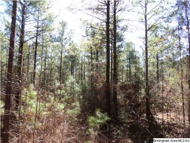 151 County Road, Unit 40 Jemison, AL 35085 - Photo 3 of 10
