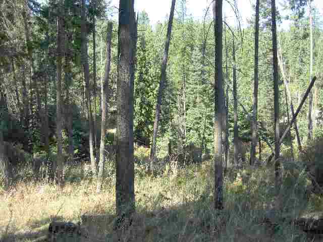 0 North Halliday Road Mead, WA 99021 - Photo 3 of 4