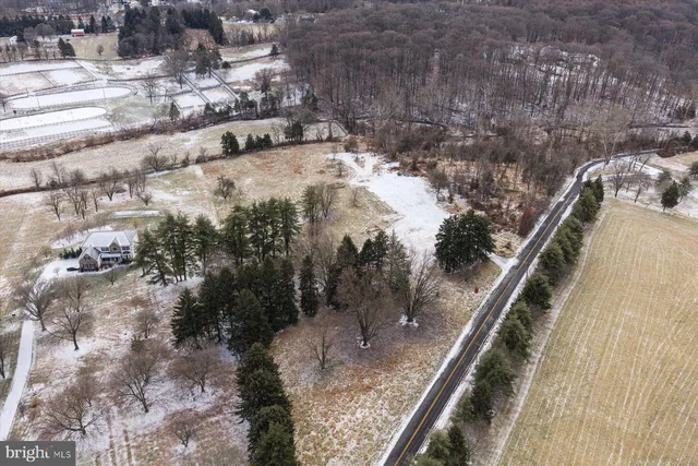 a view of dirt yard with a tree