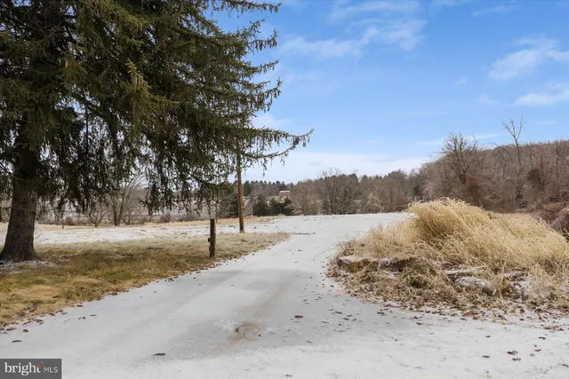 a view of a dry yard with trees