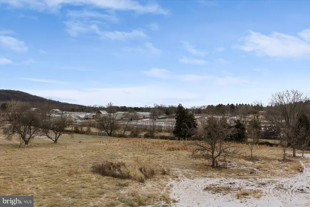 a view of a dry yard with a large tree
