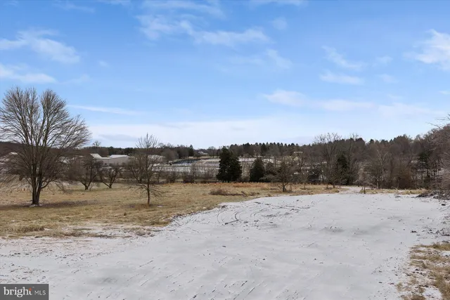a view of a dry yard with trees