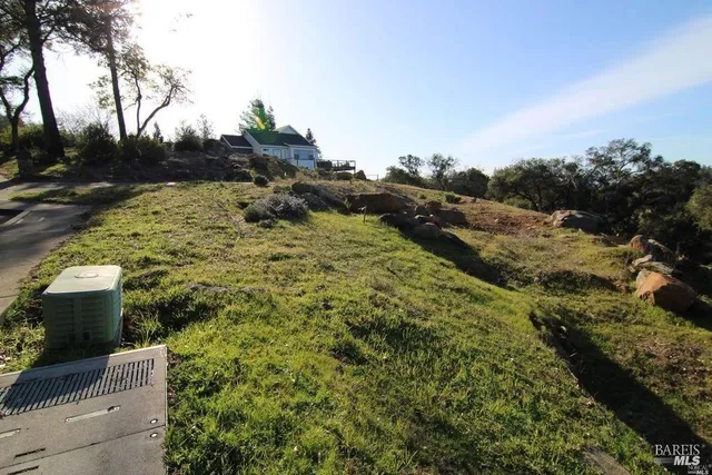 a view of a yard with plants