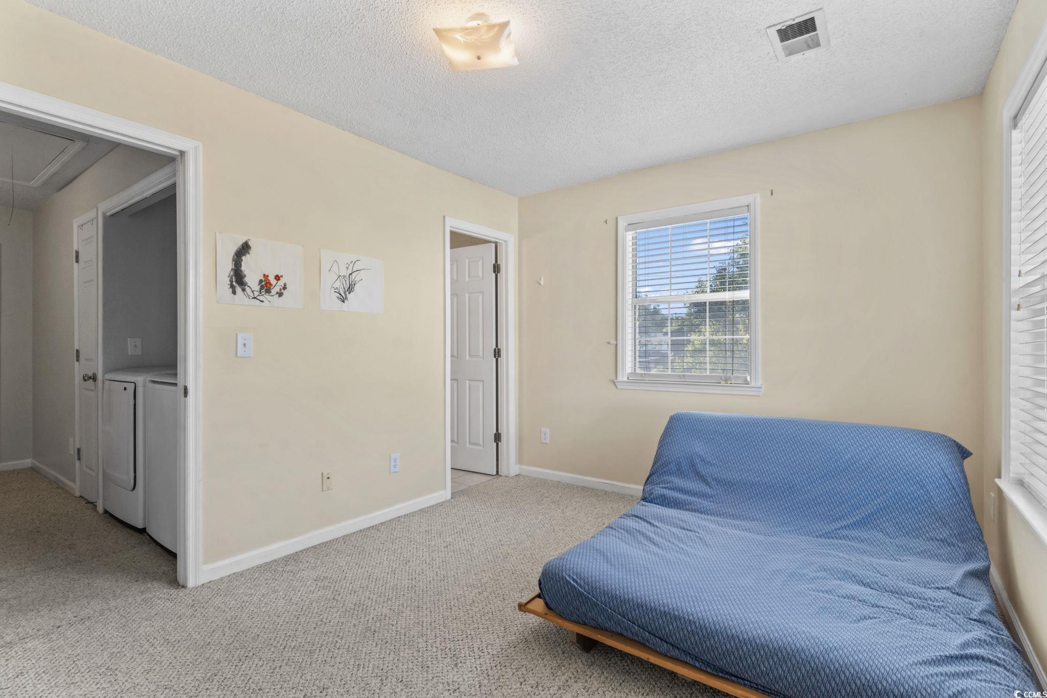 712 67th Avenue North, Unit 2A Myrtle Beach, SC 29572 - Photo 19 of 30 Living area featuring attic access, carpet, a textured ceiling, and separate washer and dryer
