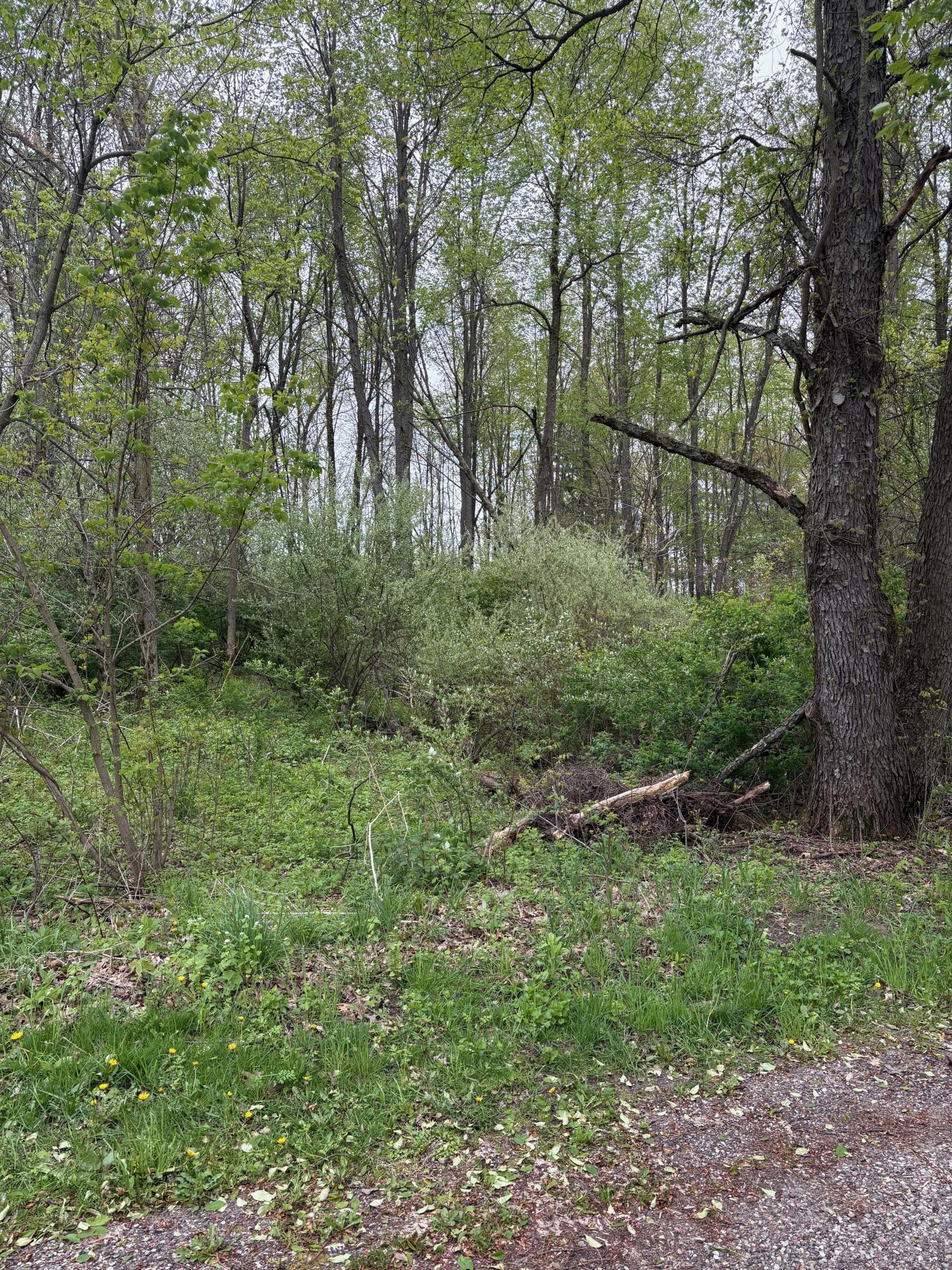 V/l West Quimby Road Hastings, MI 49058 - Photo 1 of 10 IMG_0653