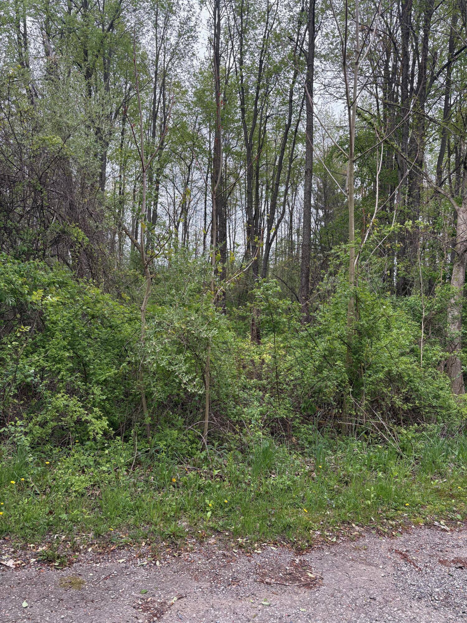 V/l West Quimby Road Hastings, MI 49058 - Photo 2 of 10 IMG_0654