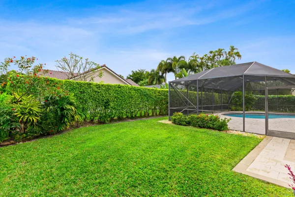 a view of a backyard with a garden and plants
