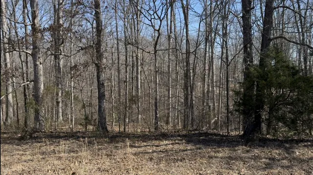 a view of outdoor space with wooden fence