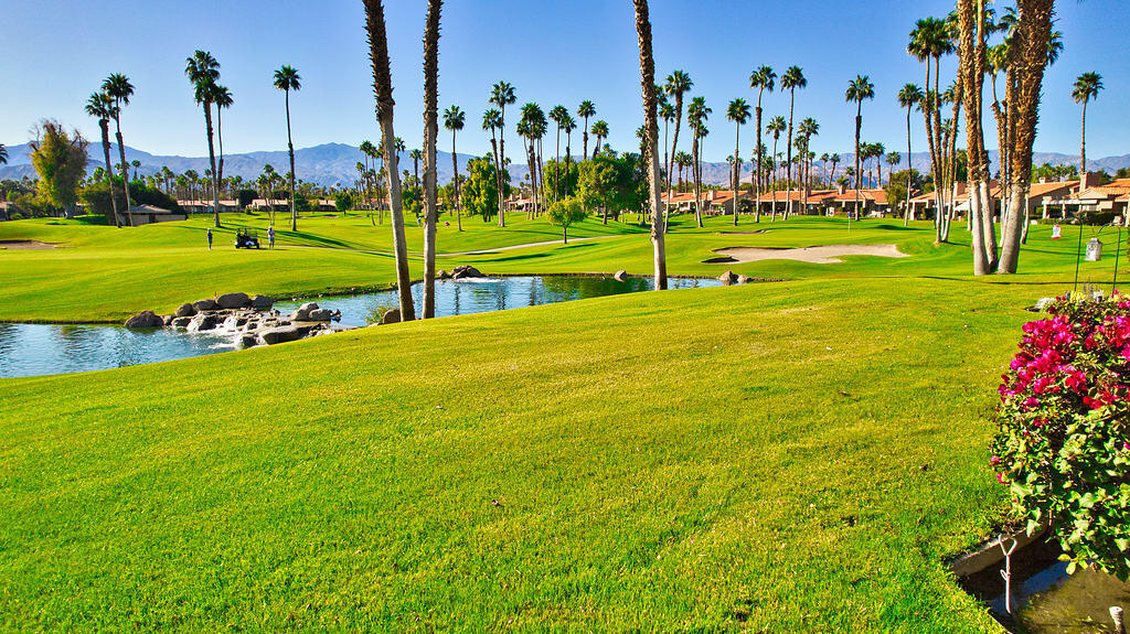 38019 Crocus Lane Palm Desert, CA 92211 - Photo 1 of 28 a view of a park with large trees