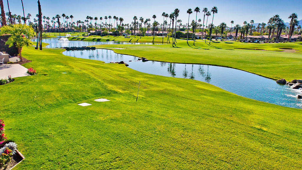 38019 Crocus Lane Palm Desert, CA 92211 - Photo 25 of 28 a view of a swimming pool with a yard and plants
