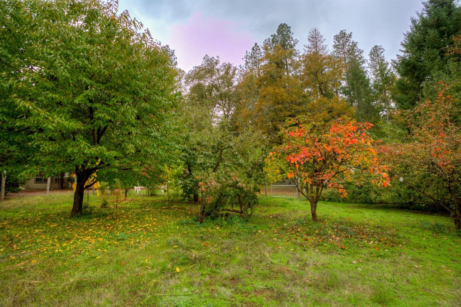 11905 Lower River Road Grants Pass, OR 97526 - Photo 30 of 35 Additional Photo