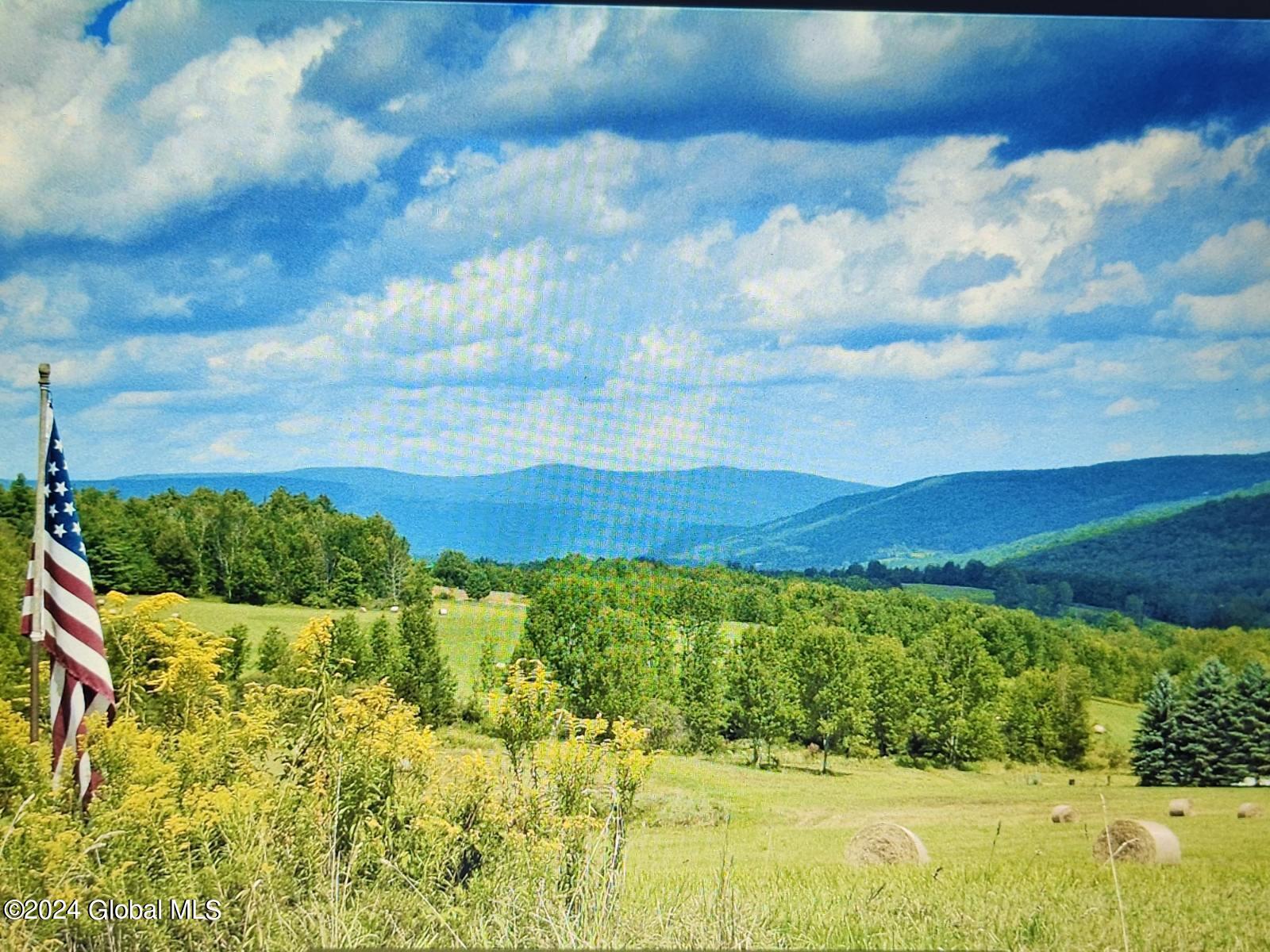 745 Guinea Road Middleburgh, NY 12122 - Photo 23 of 26 image000000(5)