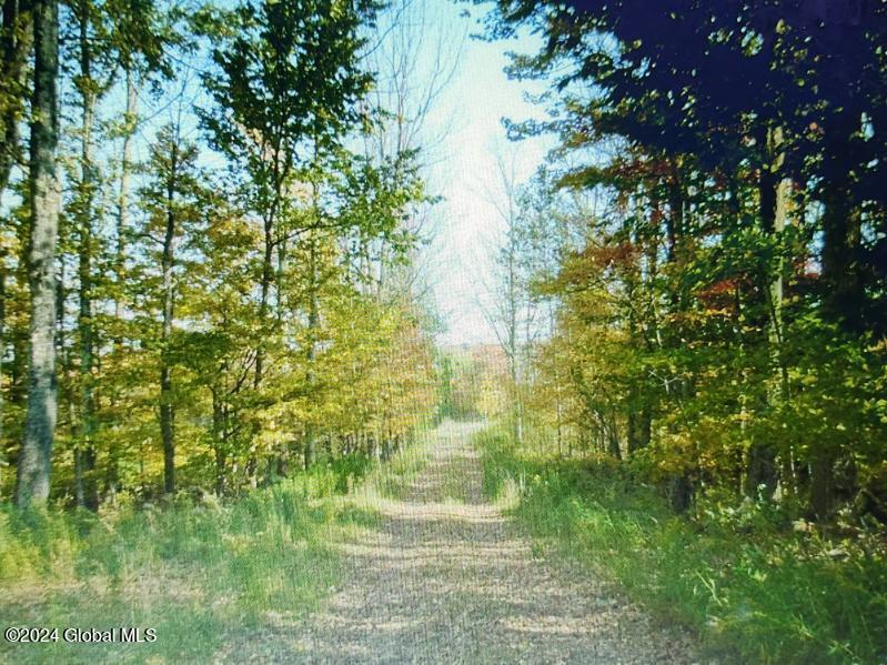 745 Guinea Road Middleburgh, NY 12122 - Photo 24 of 26 image000007(1)_5383343199403