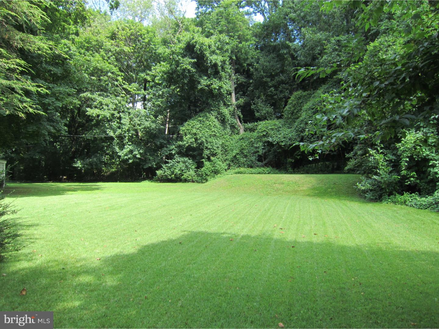 420 Newbold Road Jenkintown, PA 19046 - Photo 3 of 25 Back Yard