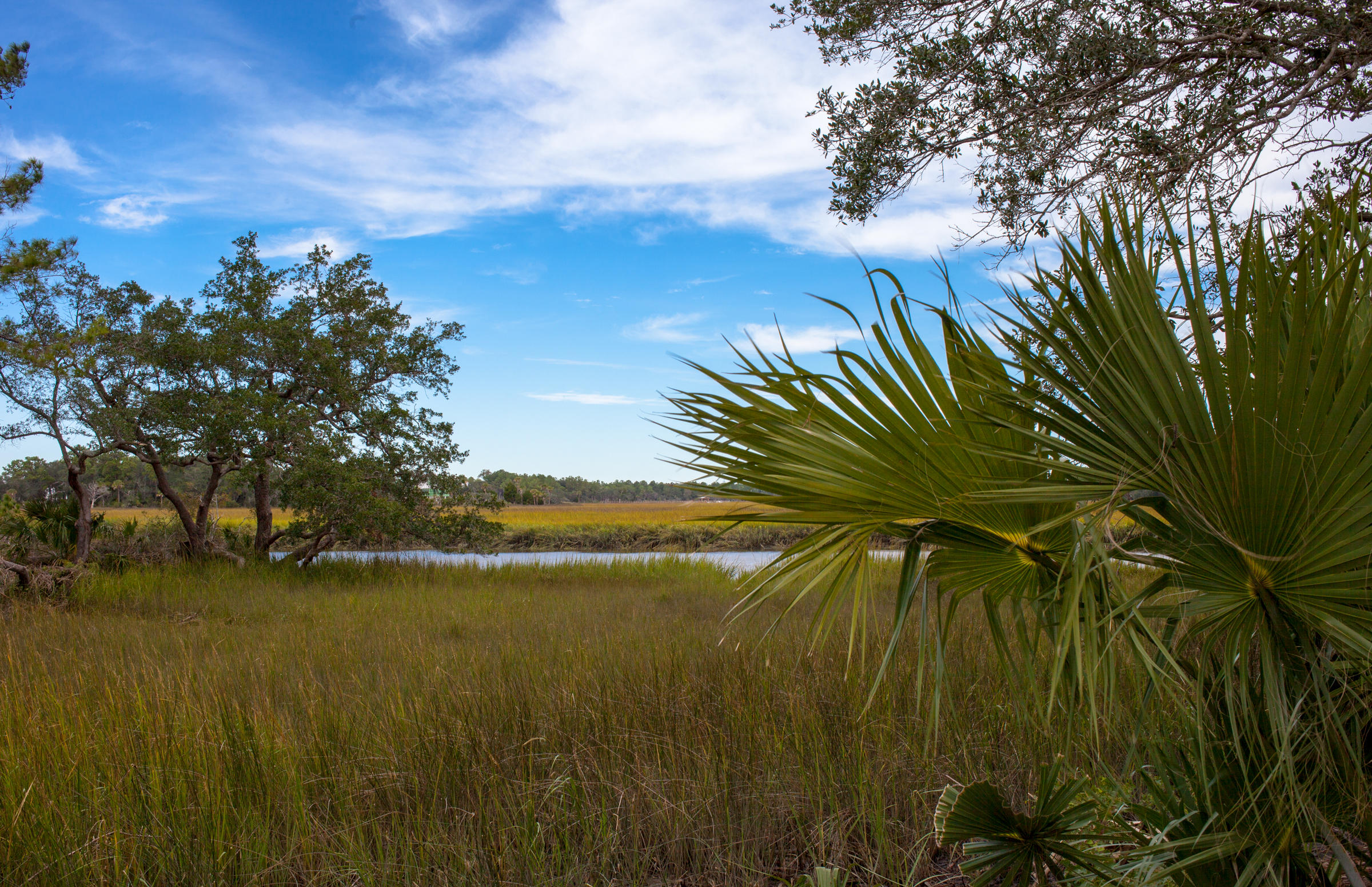 308 Bayley Road Daniel Island, SC 29492 - Photo 4 of 12 Captains Island photos (5)