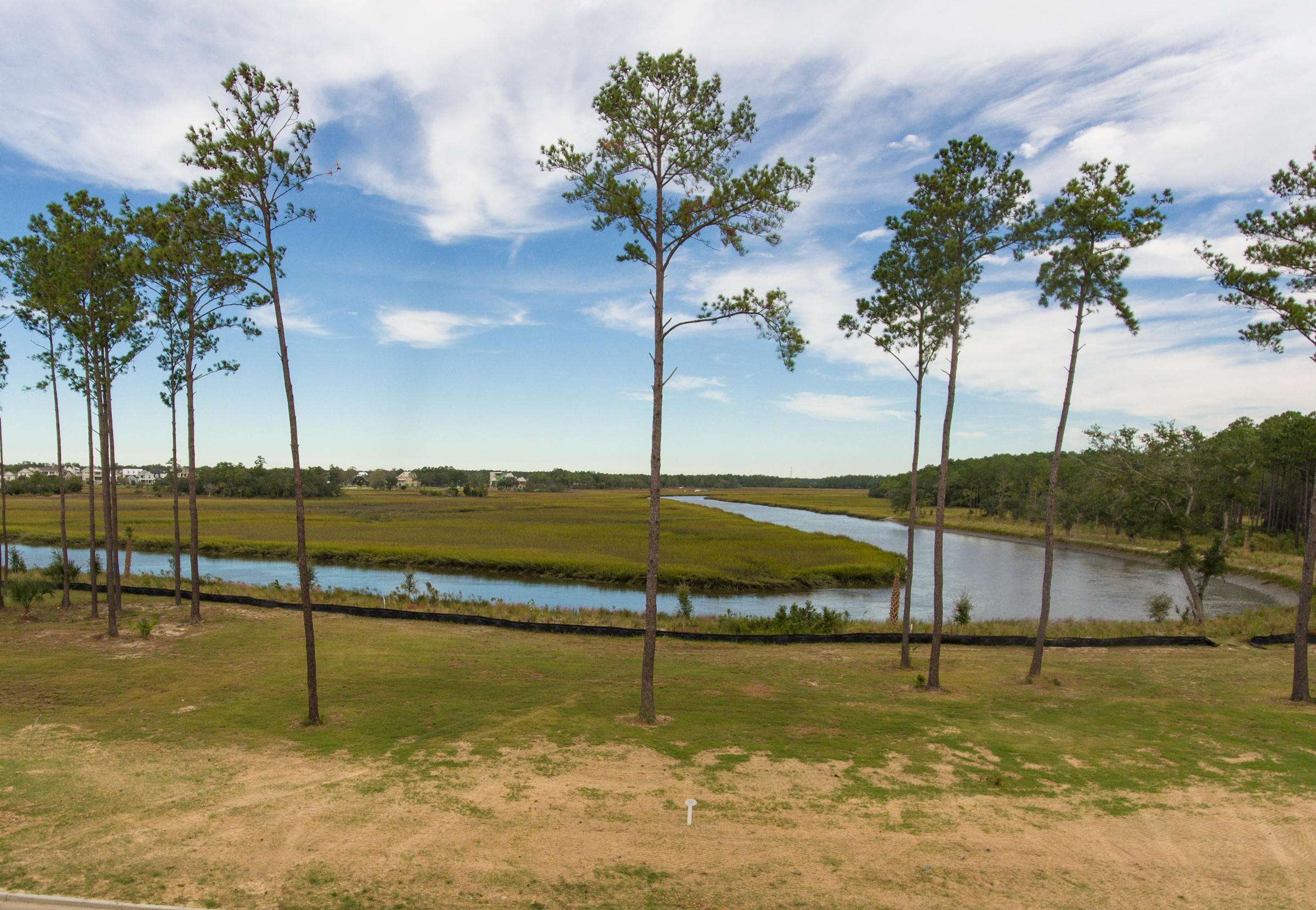 308 Bayley Road Daniel Island, SC 29492 - Photo 5 of 12 Captains Island photos (6)