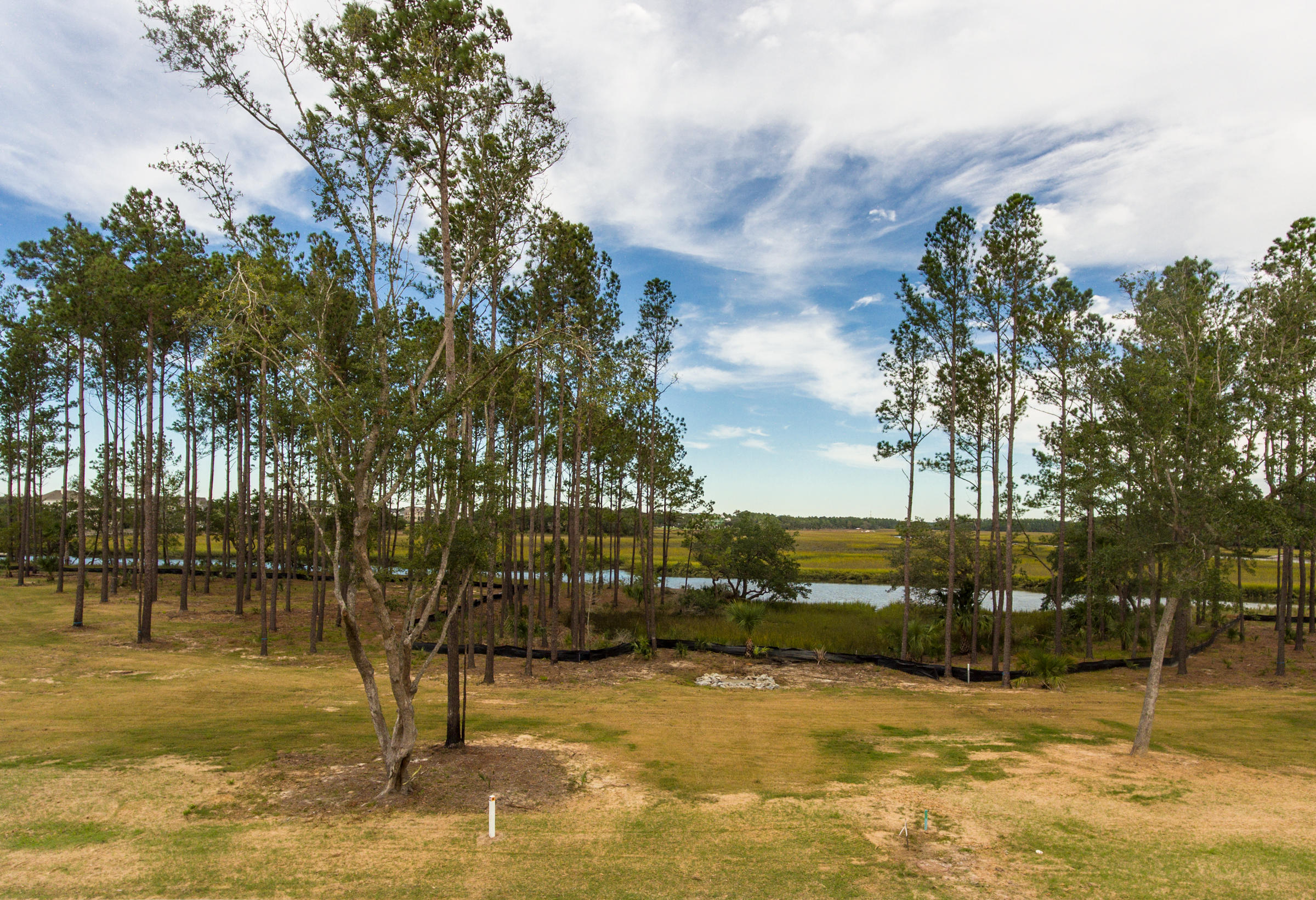 308 Bayley Road Daniel Island, SC 29492 - Photo 6 of 12 Captains Island photos (7)
