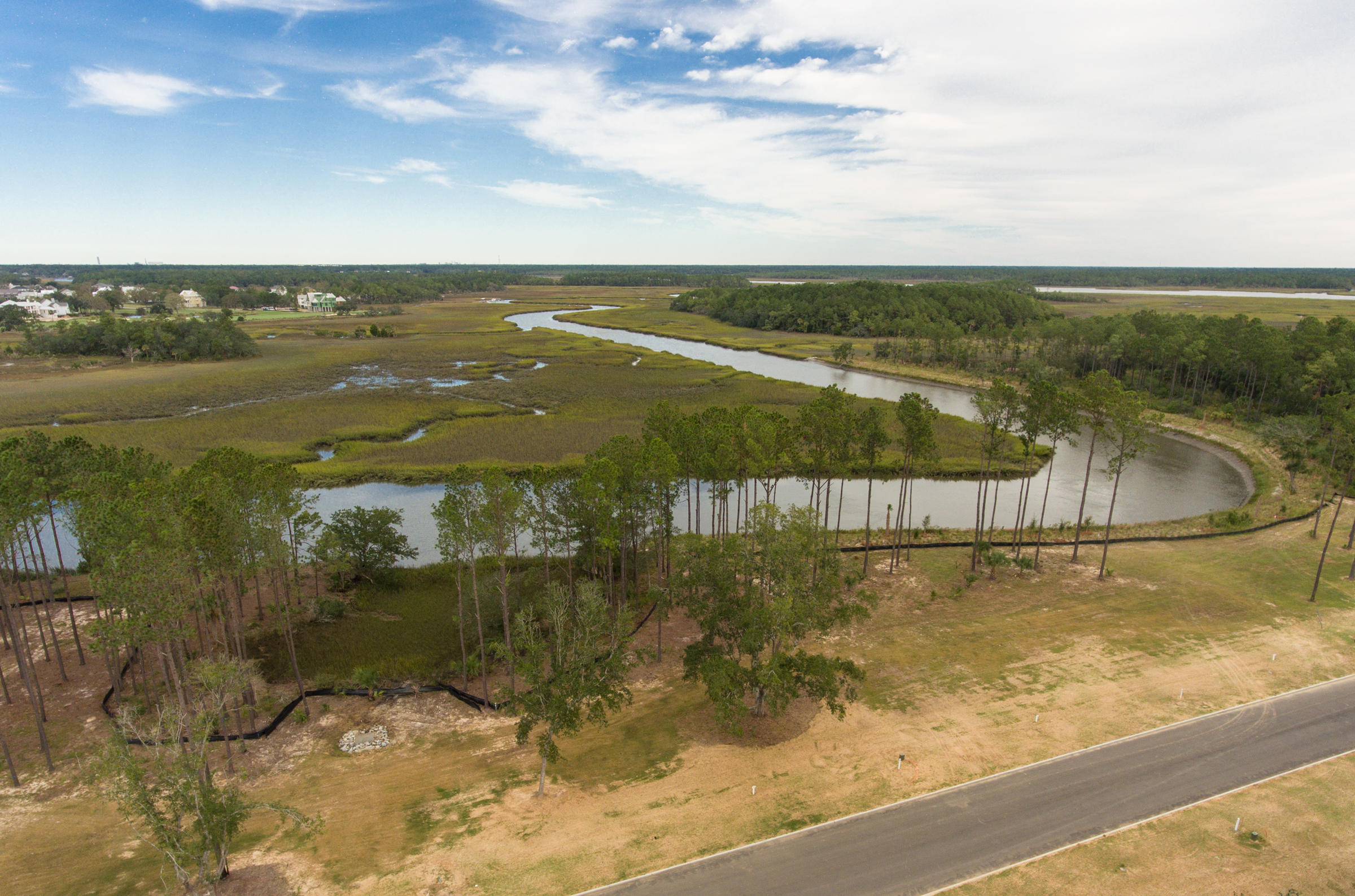308 Bayley Road Daniel Island, SC 29492 - Photo 8 of 12 Captains Island photos (9)