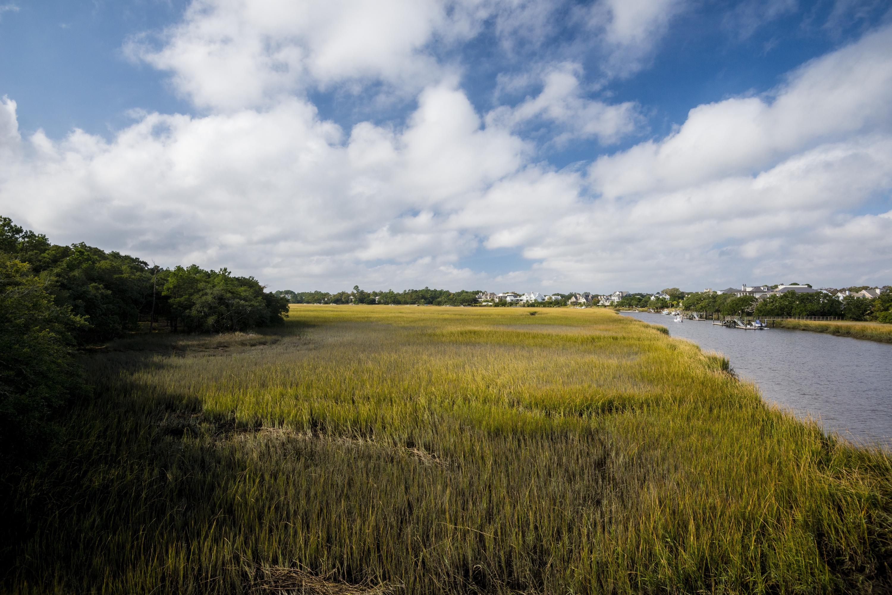308 Bayley Road Daniel Island, SC 29492 - Photo 10 of 12 Captains Island photos (12)