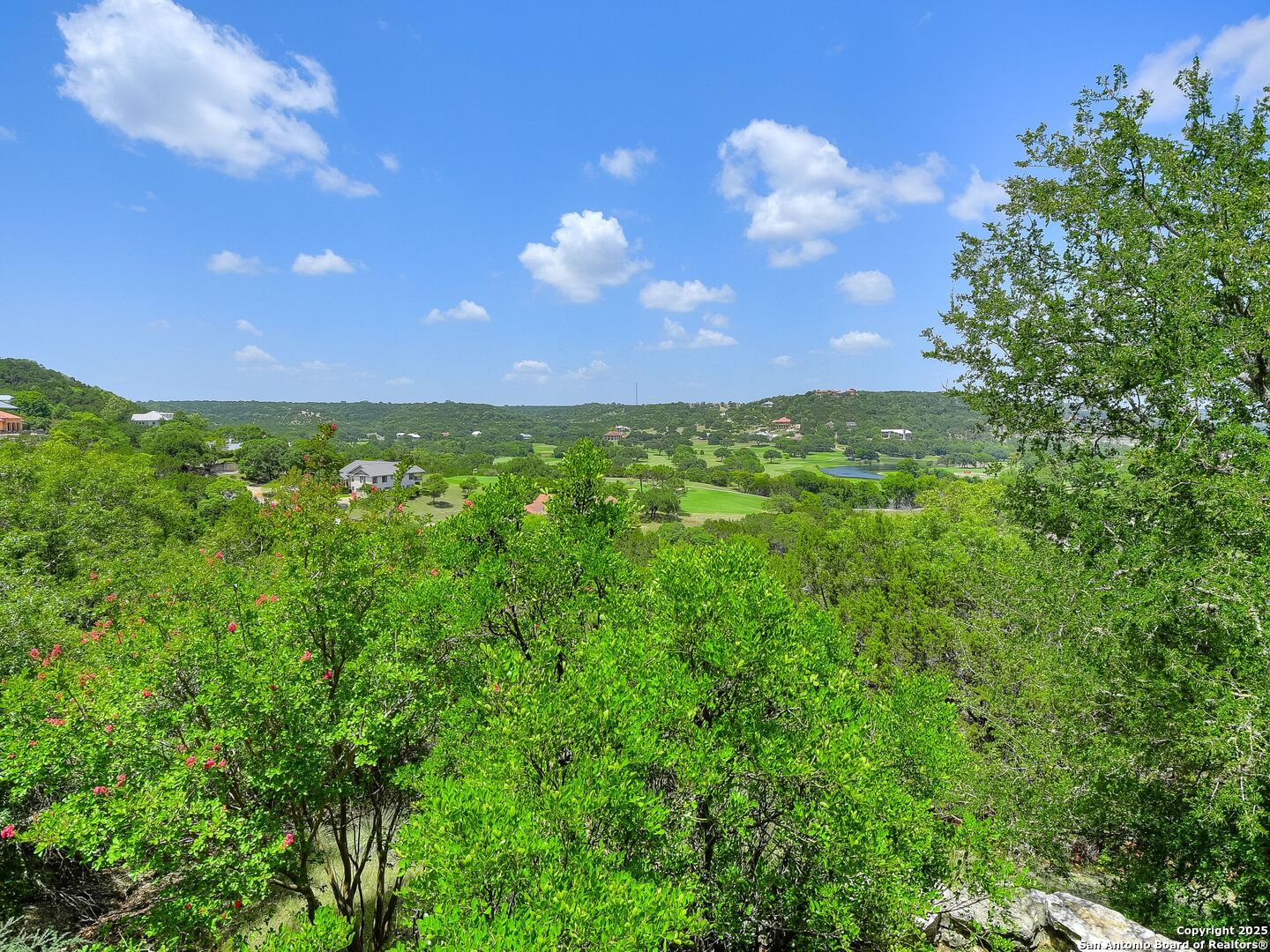 110 Axis Circle Boerne, TX 78006 - Photo 9 of 29 a view of a flower in a garden