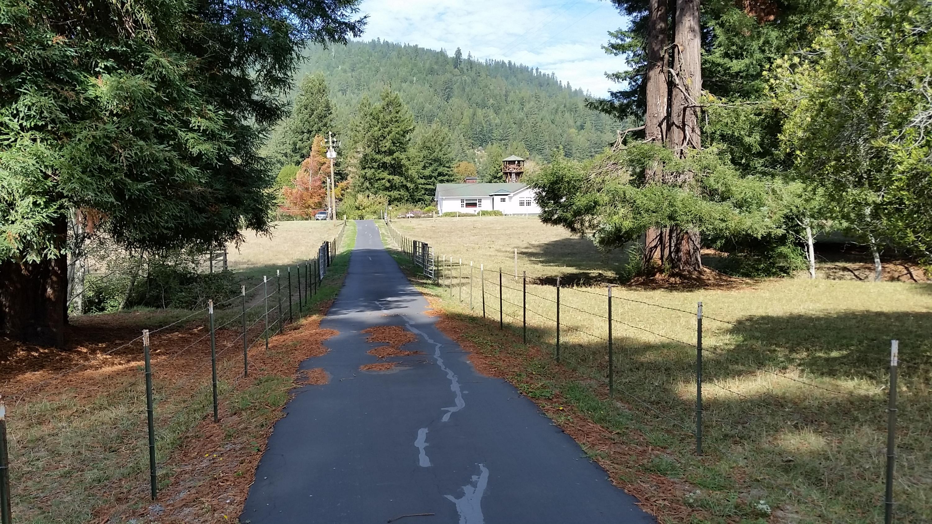 719 North Road Scotia, CA 95565 - Photo 7 of 51