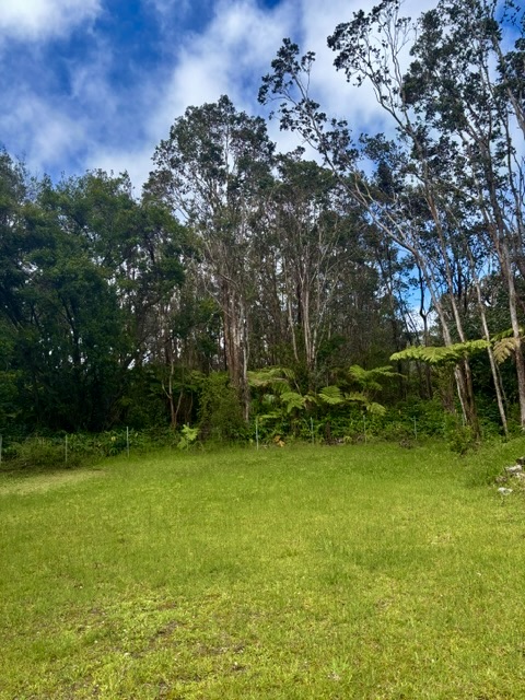 3 Haunani Road Volcano, HI 96785 - Photo 21 of 27 Gallery Image 21