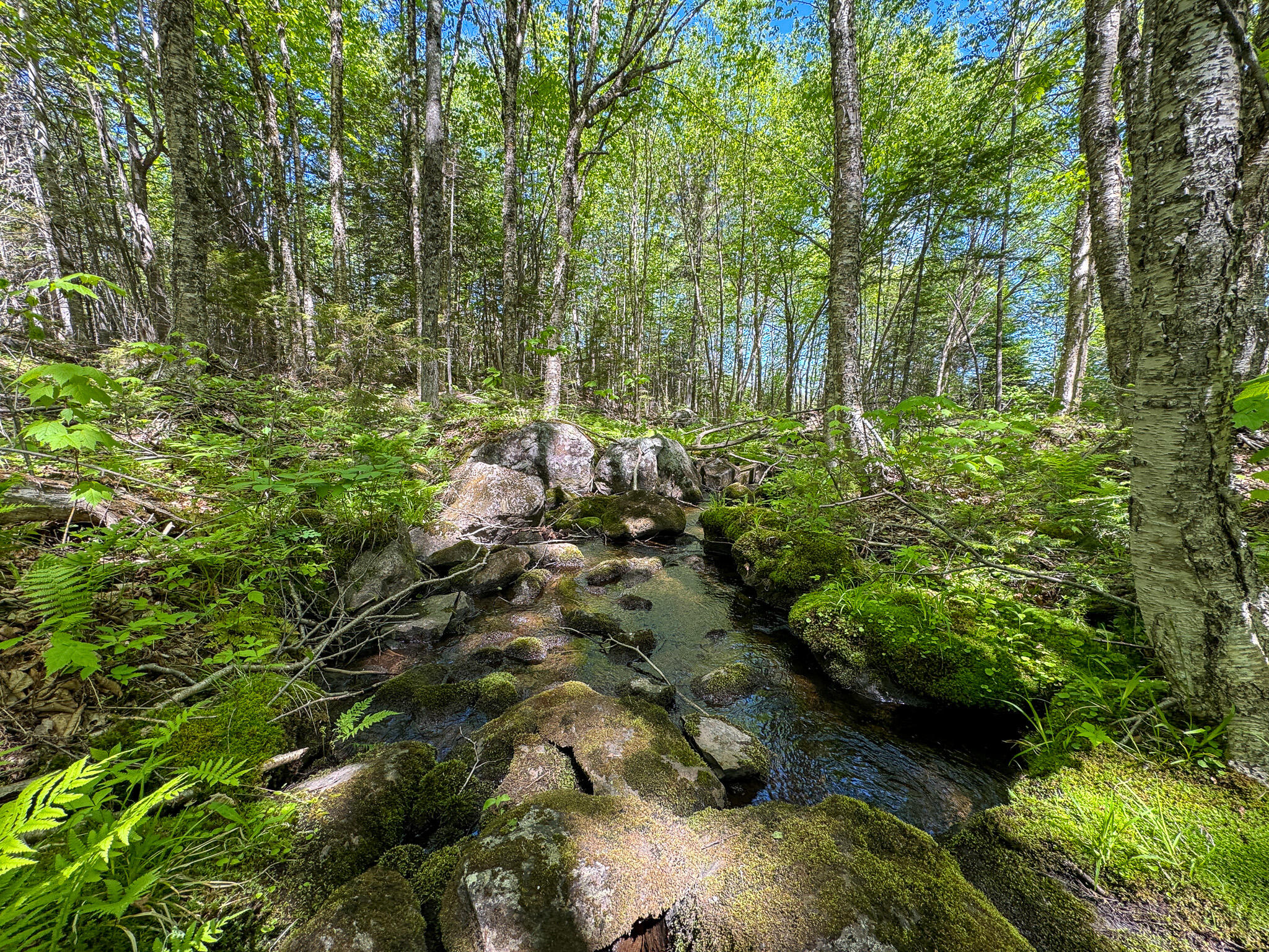 Lot 10 Morrison Brook, Unit ACRES Oakfield, ME 04763 - Photo 6 of 11