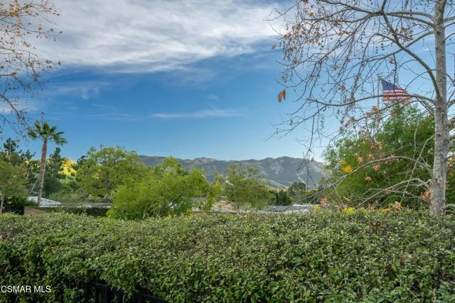 a view of a field with a tree