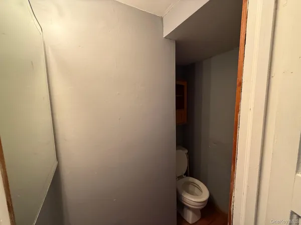 a white toilet sitting next to a small yard