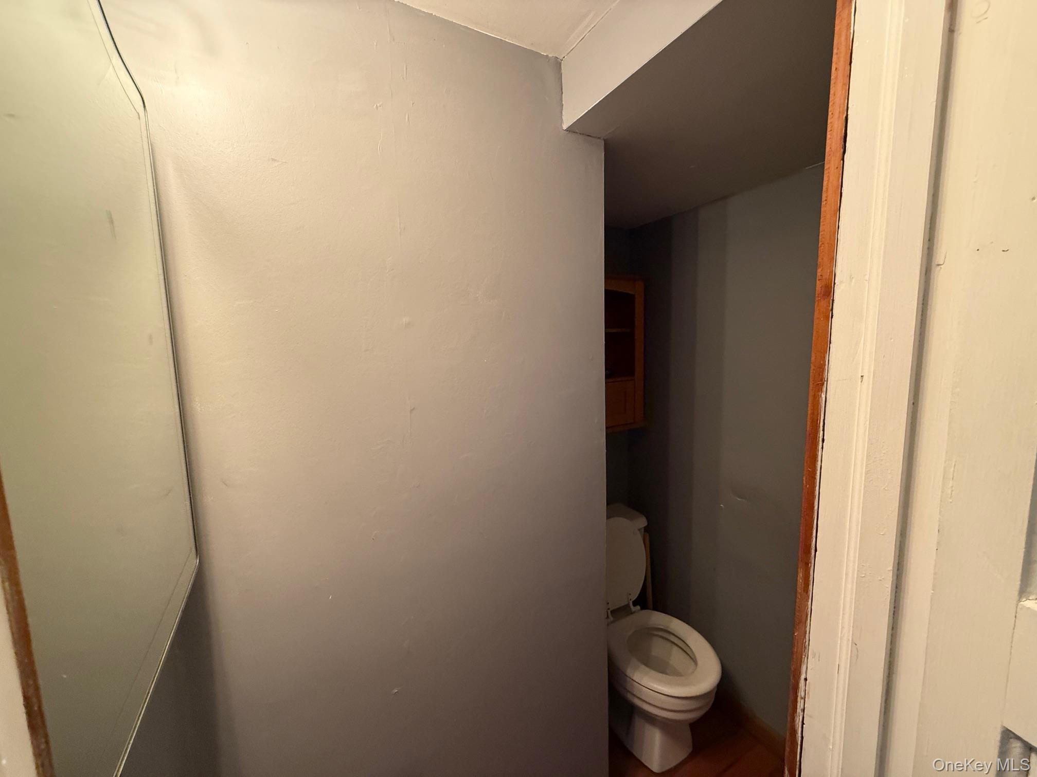 182 Maple Hill Road Huntington, NY 11743 - Photo 11 of 28 a white toilet sitting next to a small yard