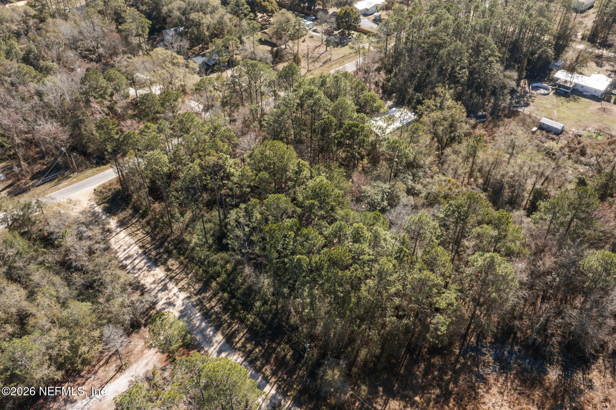 8701 Poppy Court Middleburg, FL 32068 - Photo 4 of 11 a view of a forest with houses