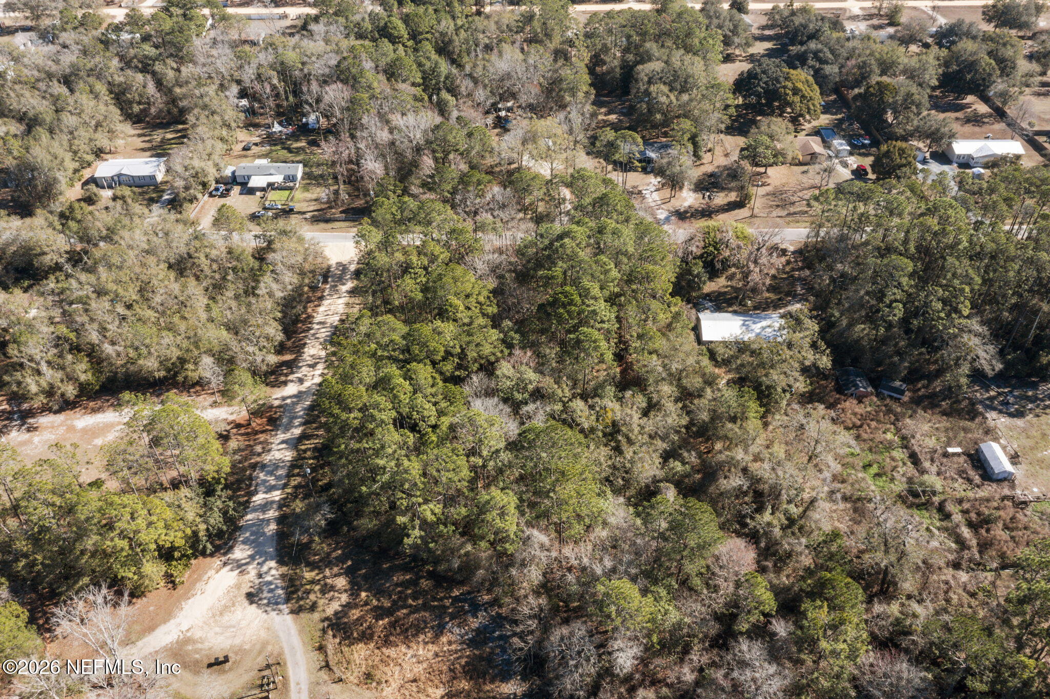 8701 Poppy Court Middleburg, FL 32068 - Photo 5 of 11 a view of a yard with plants and trees