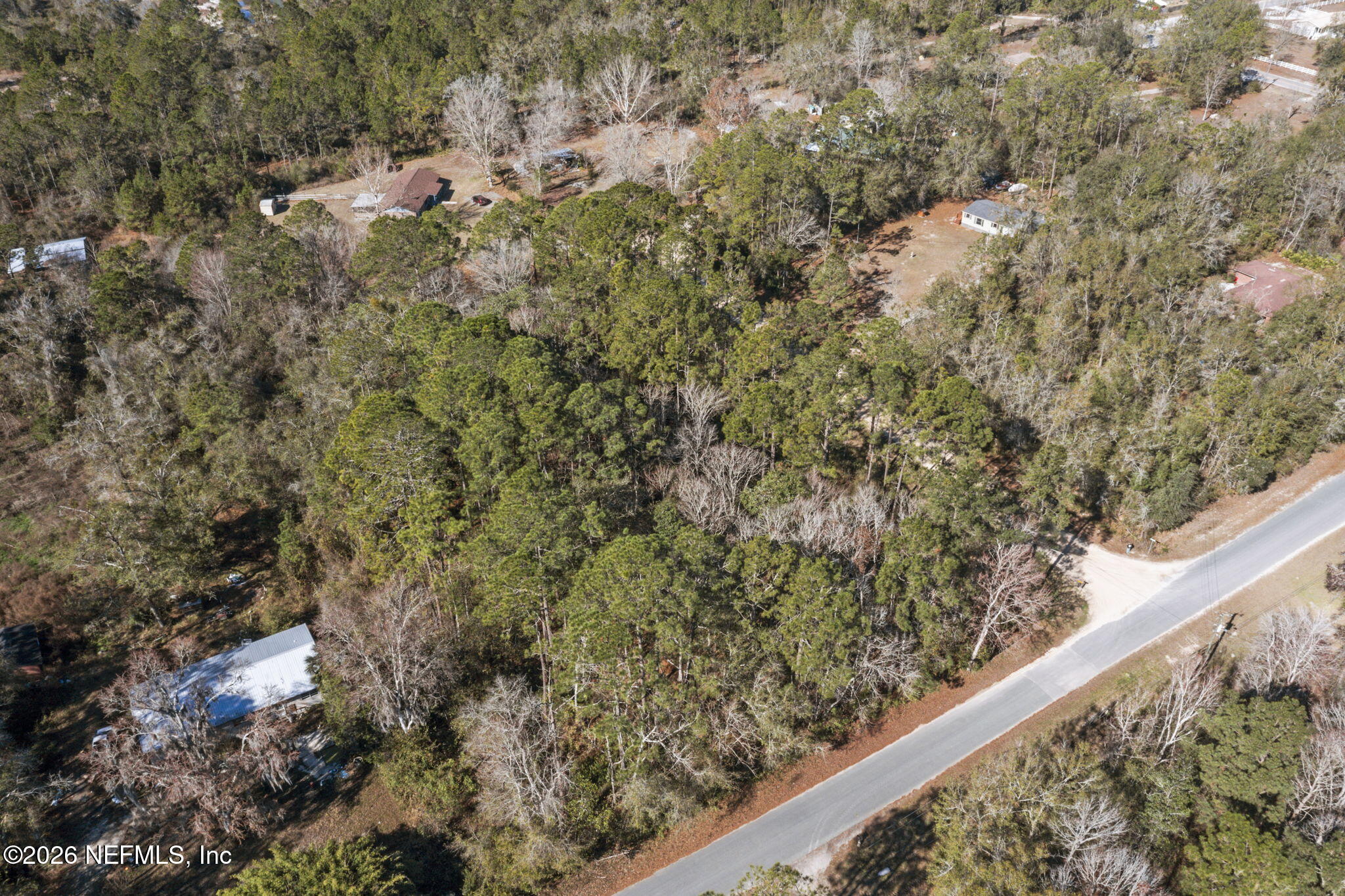 8701 Poppy Court Middleburg, FL 32068 - Photo 6 of 11 a view of a tree with a plant