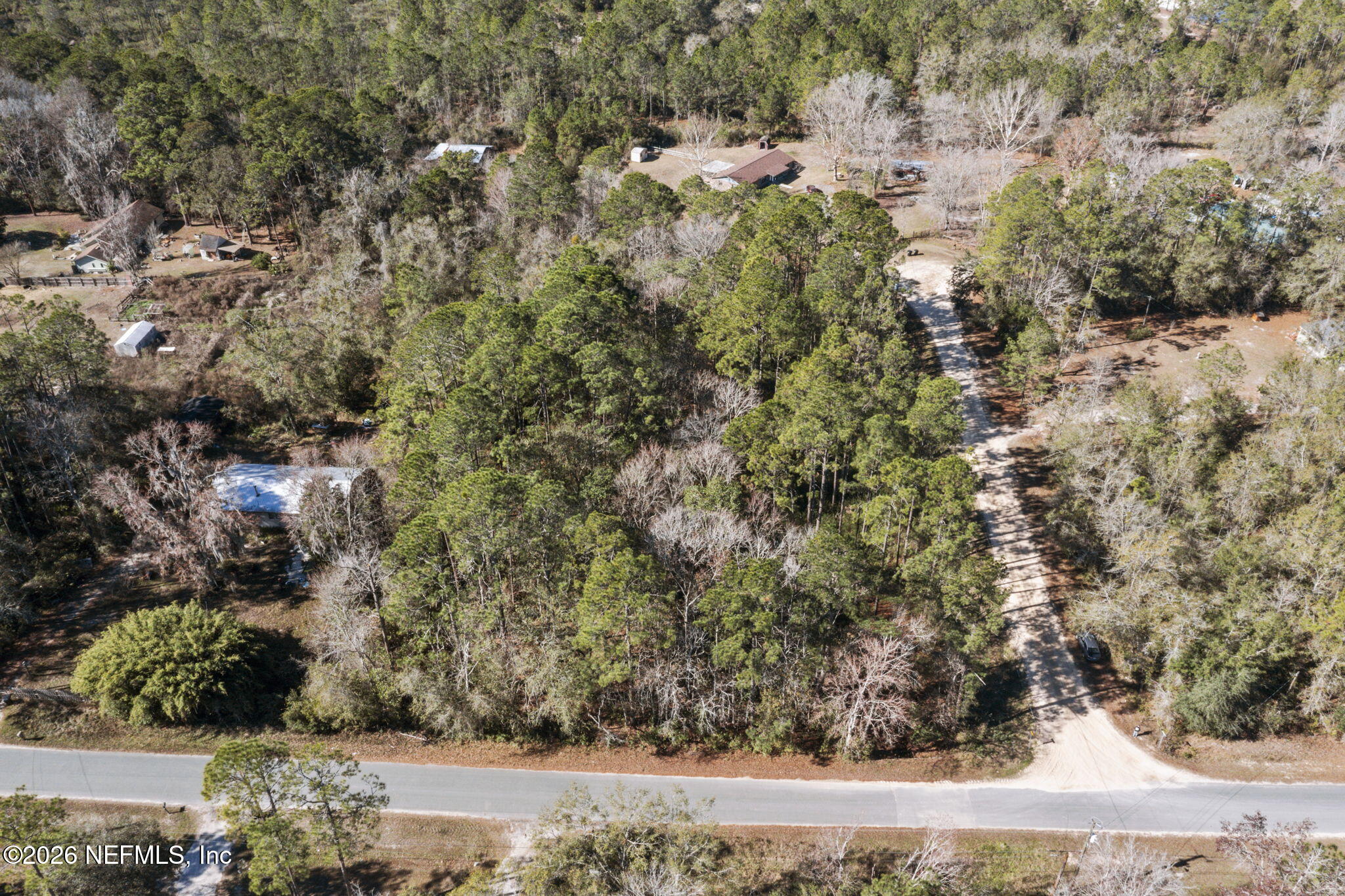 8701 Poppy Court Middleburg, FL 32068 - Photo 7 of 11 a view of a yard with plants