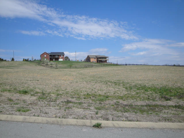 Lot 30 Chippewa Lane Rutledge, TN 37861 - Photo 3 of 3 Lot 30 (2)