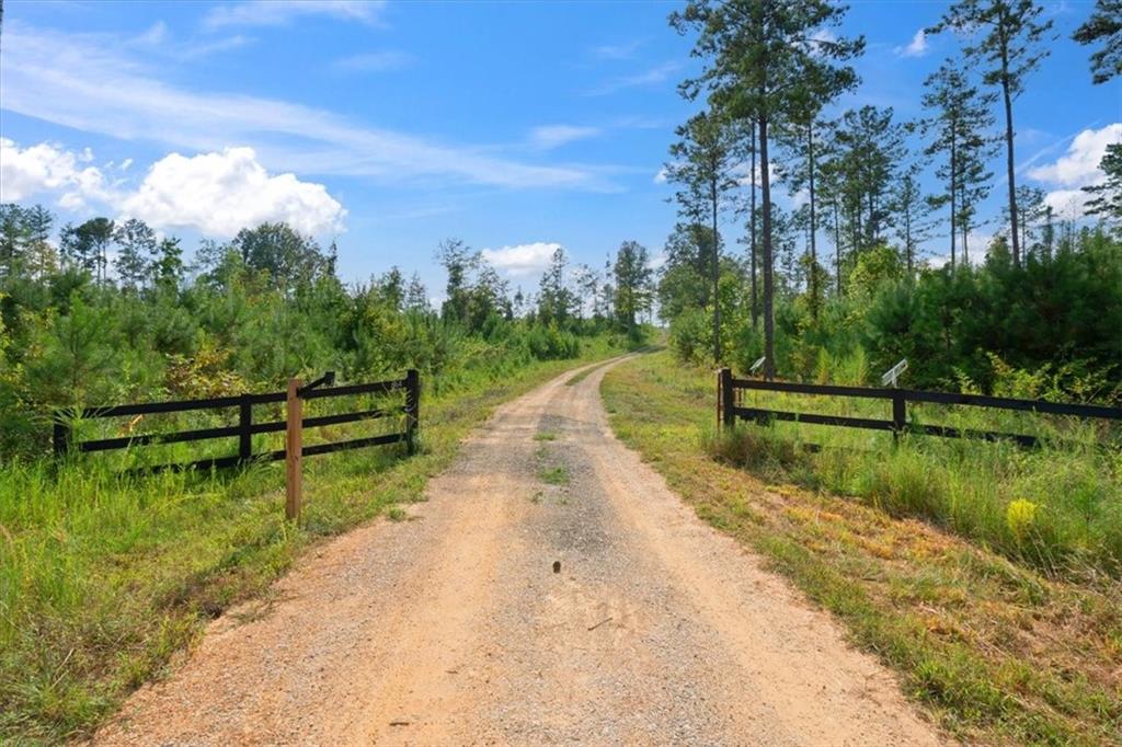 664 Wiggins Road Lyerly, GA 30730 - Photo 52 of 69 a view of a lake with a yard
