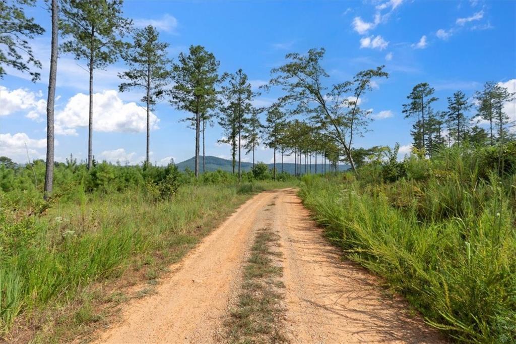 664 Wiggins Road Lyerly, GA 30730 - Photo 53 of 69 a view of a lake with a big yard