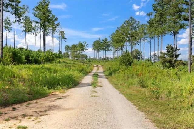 $4,100,000 | 664 Wiggins Road, Lyerly, GA 30730