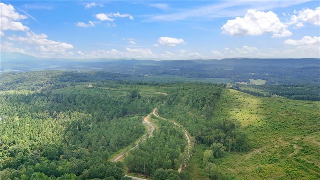 664 Wiggins Road Lyerly, GA 30730 - Photo 58 of 69 a view of a lake