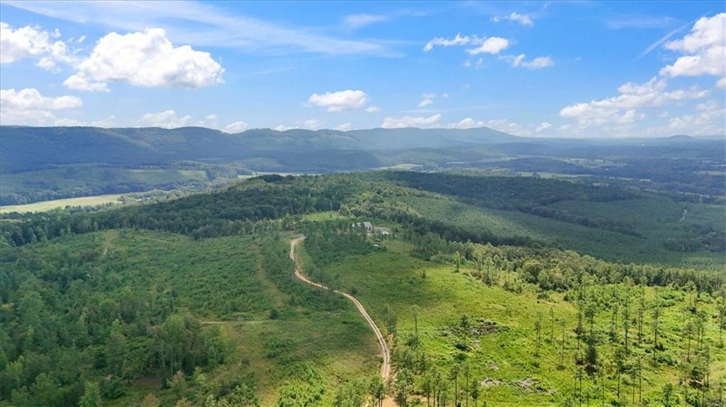 664 Wiggins Road Lyerly, GA 30730 - Photo 59 of 69 a view of a yard with an outdoor space