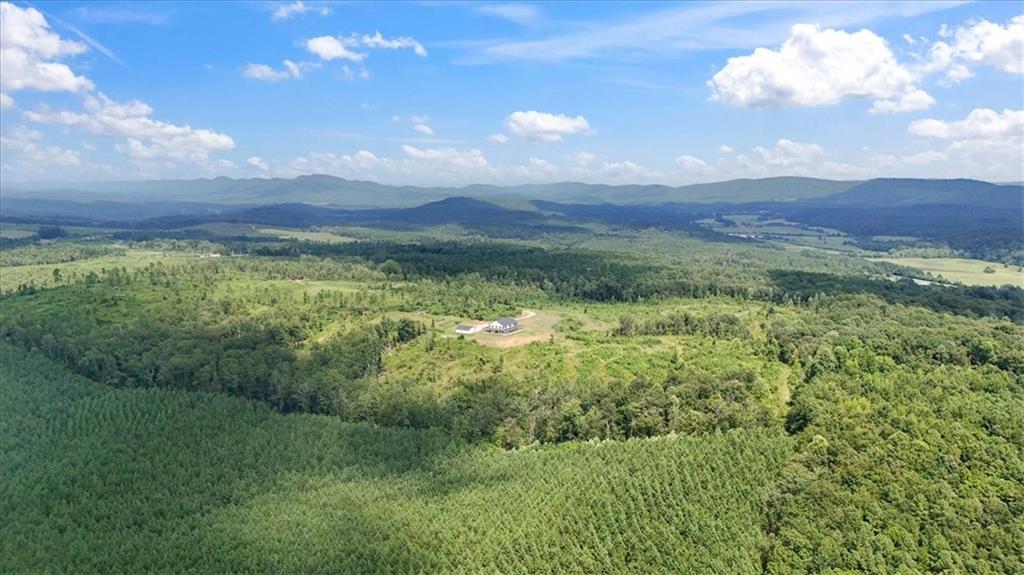 664 Wiggins Road Lyerly, GA 30730 - Photo 61 of 69