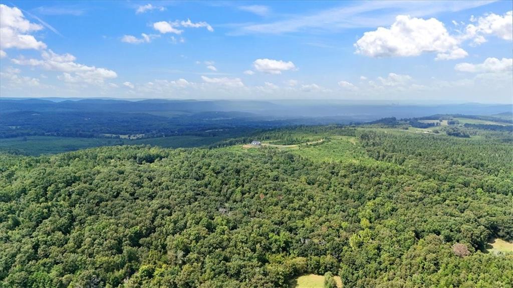 664 Wiggins Road Lyerly, GA 30730 - Photo 63 of 69 a view of a large yard with lots of green space